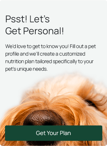 Pet Quiz CTA